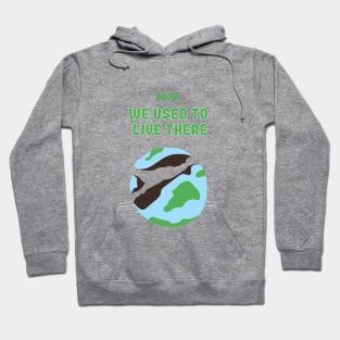 Future of the Earth Hoodie